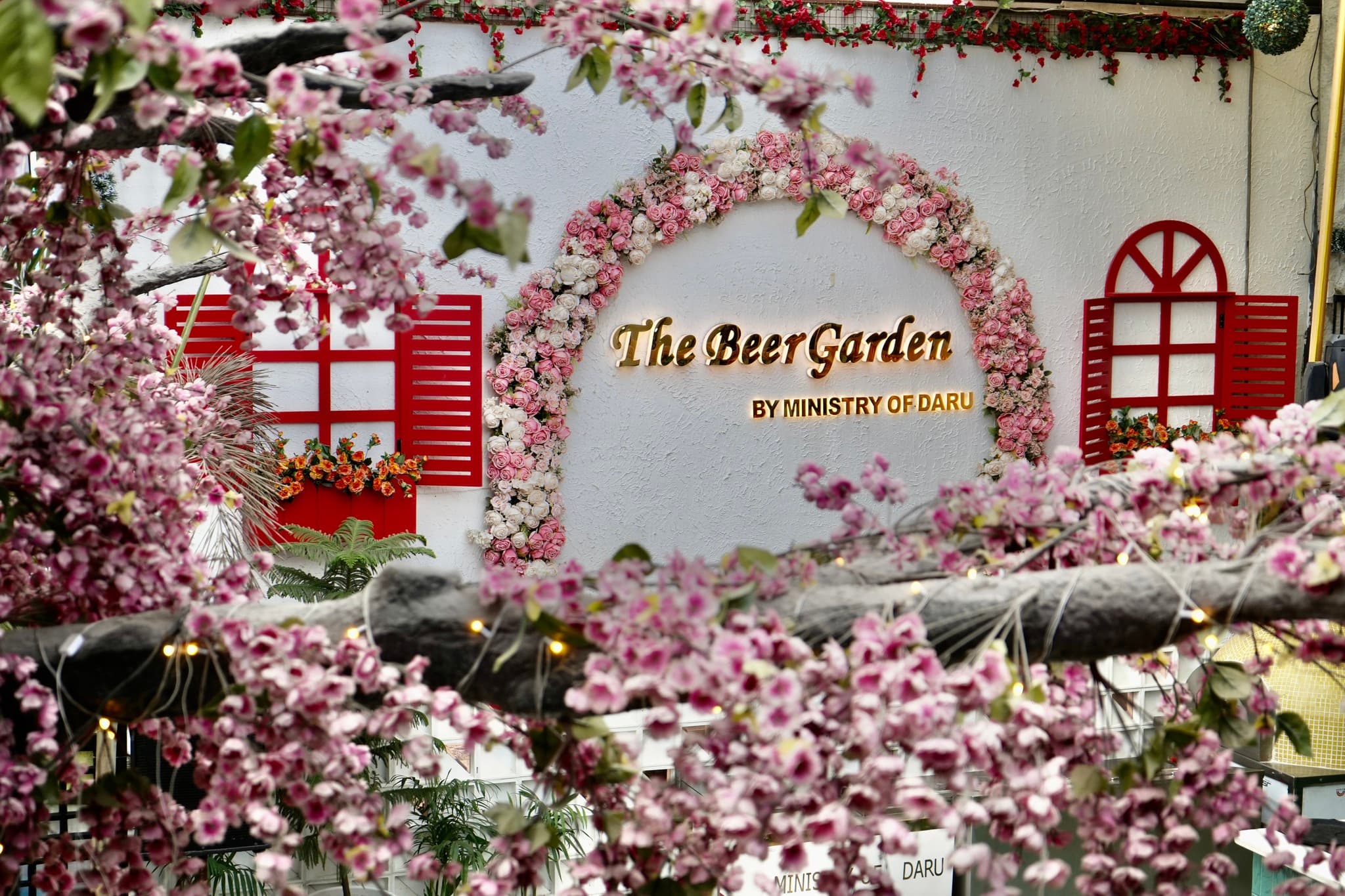 The Beer Garden (TBG)